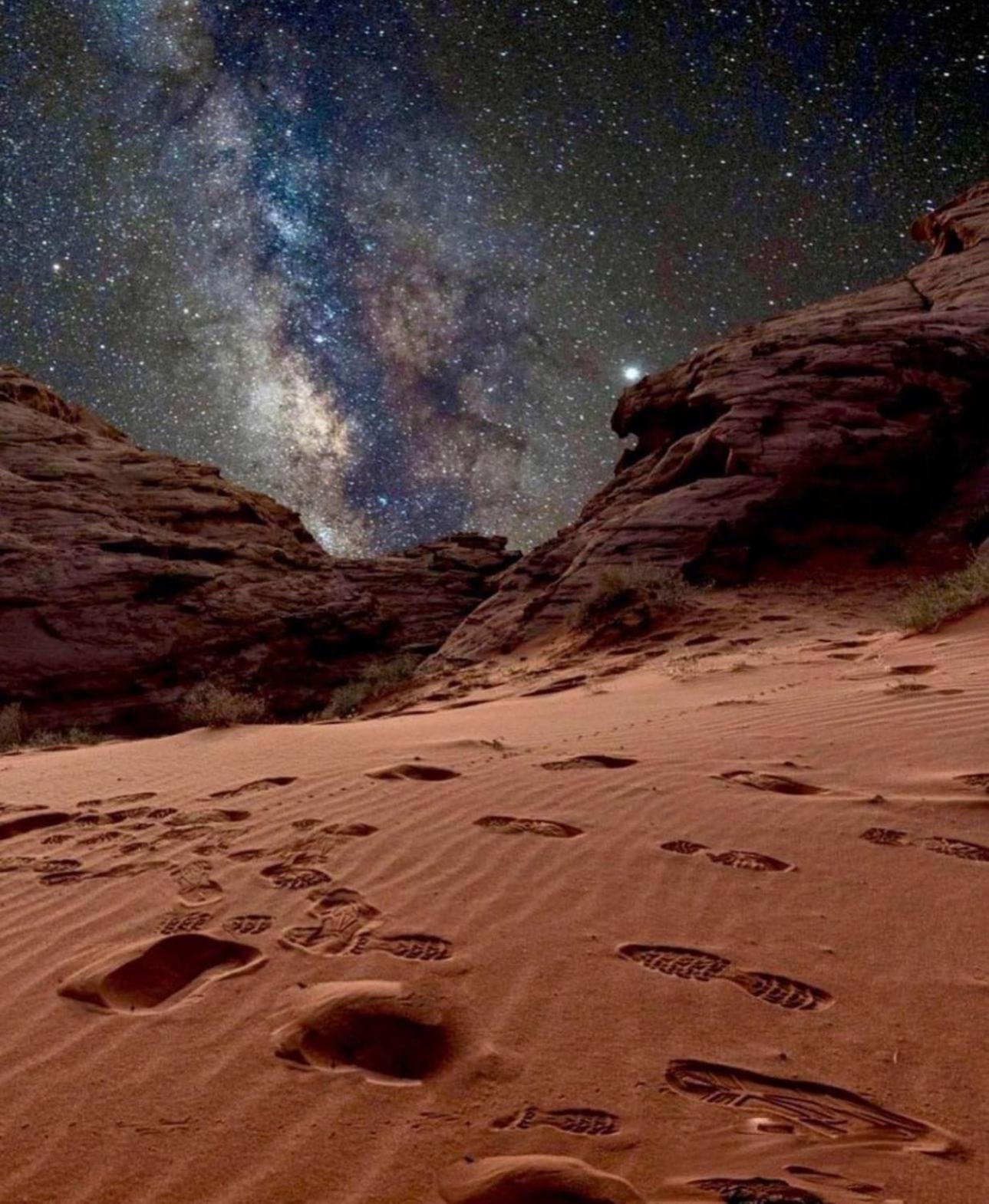 Wadi Rum Trail Eksteriør billede