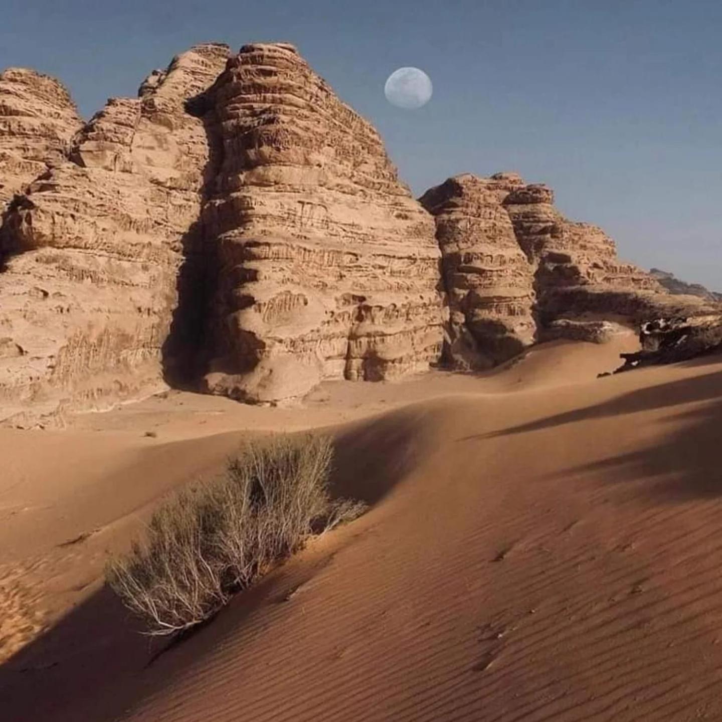 Wadi Rum Trail Eksteriør billede